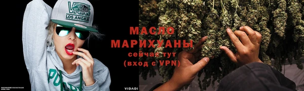 индика Володарск