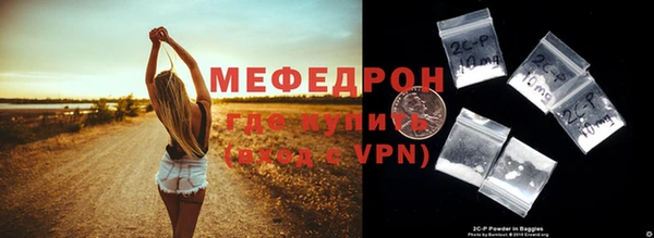 индика Володарск