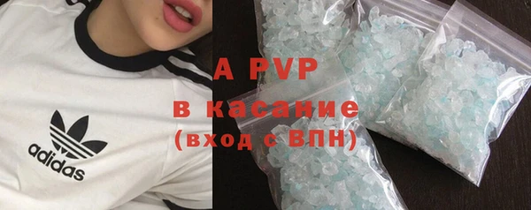 индика Володарск