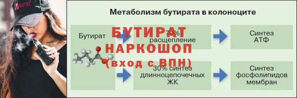 индика Володарск
