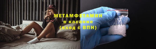 индика Володарск
