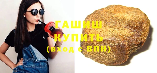 индика Володарск