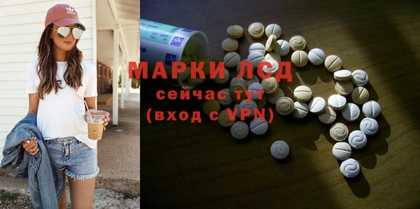 индика Володарск