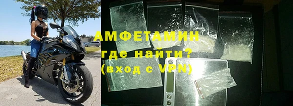 индика Володарск