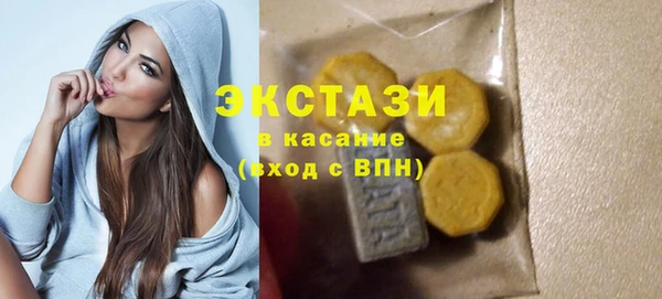 индика Володарск